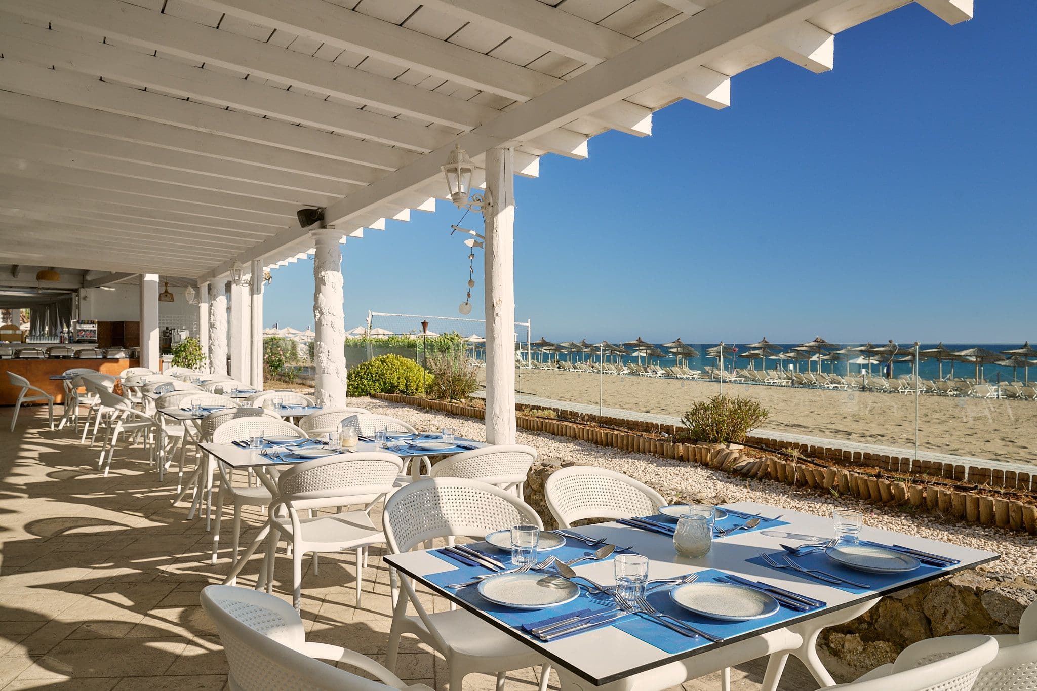 Coastal Culinary Journeys
